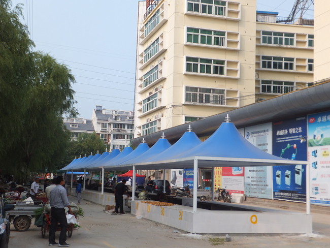 宿遷菜市棚傘狀膜